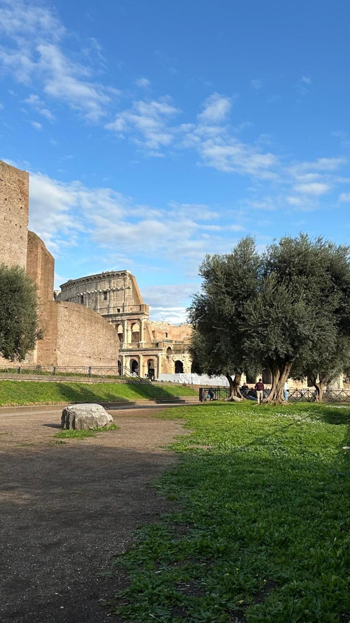 Appartamento Maison Barchetta In Via Giulia Roma